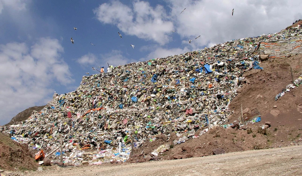 Îngropați în plastic? jpeg