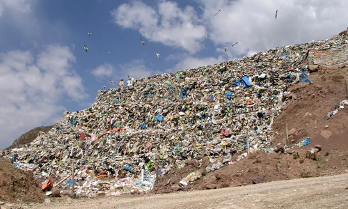 Îngropați în plastic? jpeg