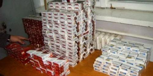 Ţigările confiscate erau timbrate în Rusia şi Ucraina