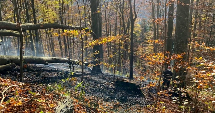 piscul cainelui incendiu foto primaria sinaia