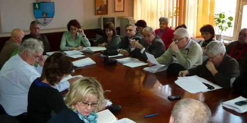 consiliu local tulcea