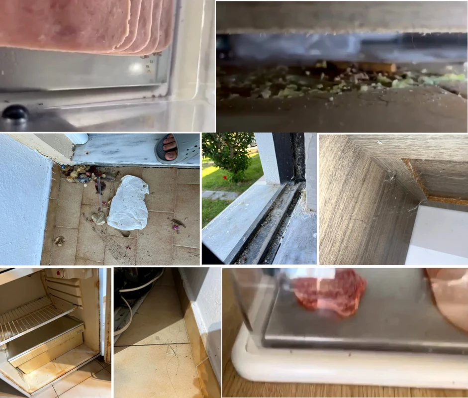 Condițiile inumane la o cazare pe insula Rhodos din Grecia Colaj 
