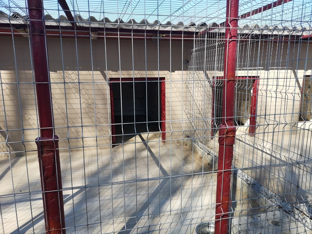 Adăpostul de la marginea oraşului FOTO Primăria Constanţa