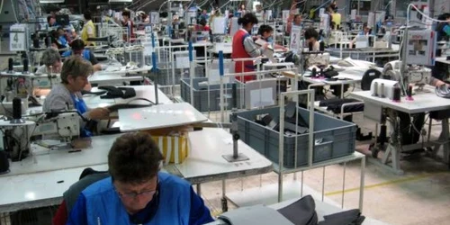 Industria automotive este una din afacerile profitabile din Timiș