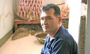 24 glob foto1 5col 150 jpeg