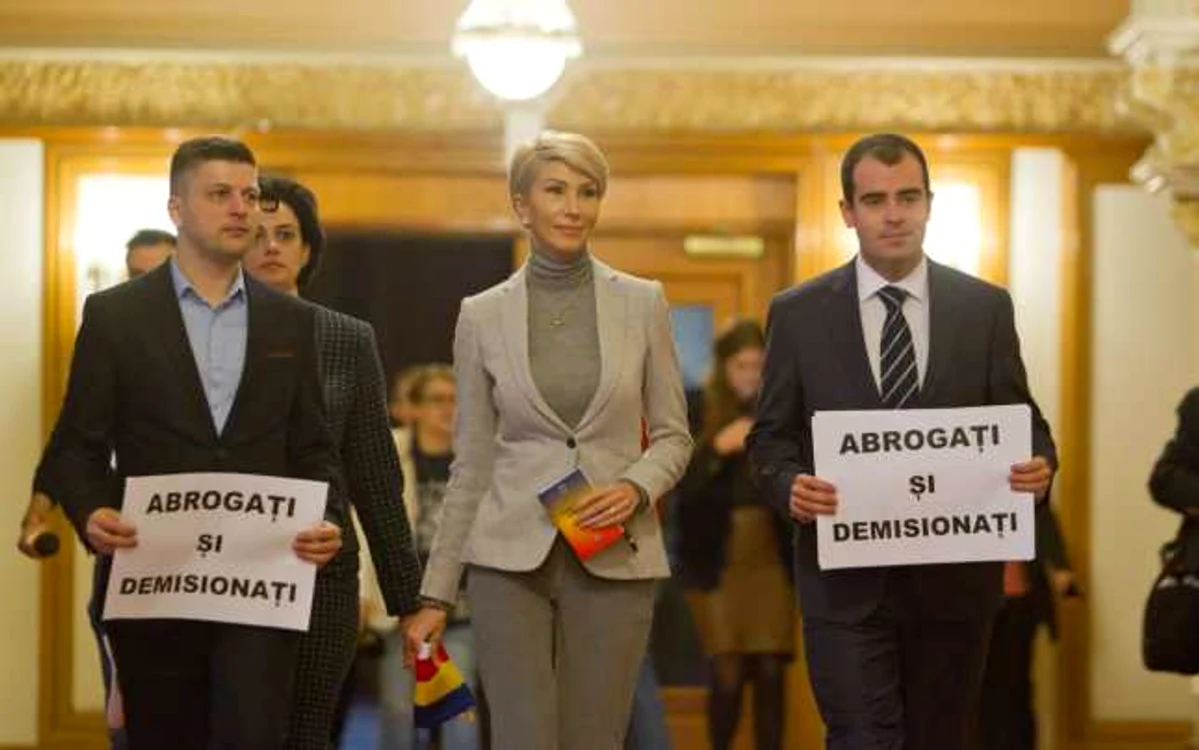 Preşedintele interimar al PNL, Raluca Turcan, a recunoscut, la „Adevărul Live“, că în continuare sunt tensiuni în mai multe organizaţii, precum şi la nivel naţional. FOTO Mediafax