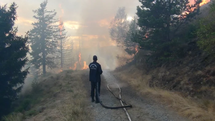 Cel mai violent incendiu de pădure a fost pe Muntele Cozia