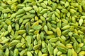 cardamom 7mm 7 5mm 500x500 jpeg