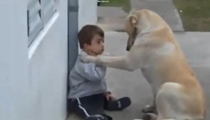 James şi Rufus se înţeleg bine.