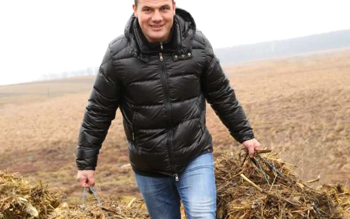 ferma vedetelor