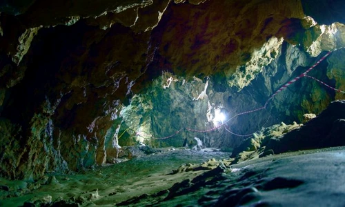 1 polovragi jpg jpeg