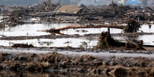 2011 anul in care Japonia a fost lovita de tsunami