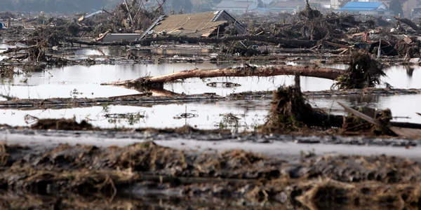 2011 anul in care Japonia a fost lovita de tsunami