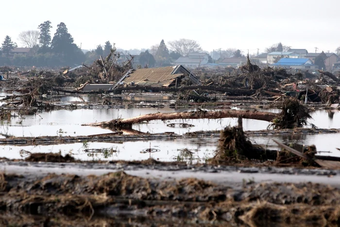 Dezastul lăsat în Japonia de cutremurul din 2011/ FOTO: AFP