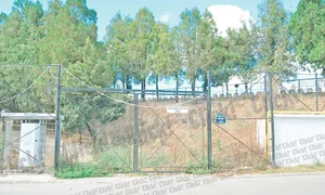 Patronul Şiman spune  că nu este vinovat cu  nimic de situaţia actuală  a acestei echipe de  tradiţii din România (Fotografii: Roberto Sălceanu/Mediafax jpeg