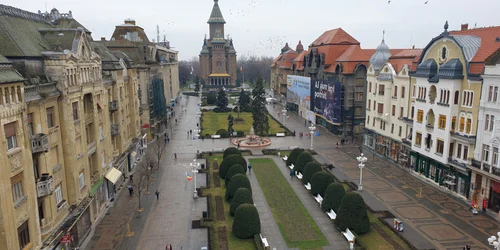priveliste din pepiniera jfif