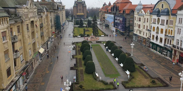 priveliste din pepiniera jfif