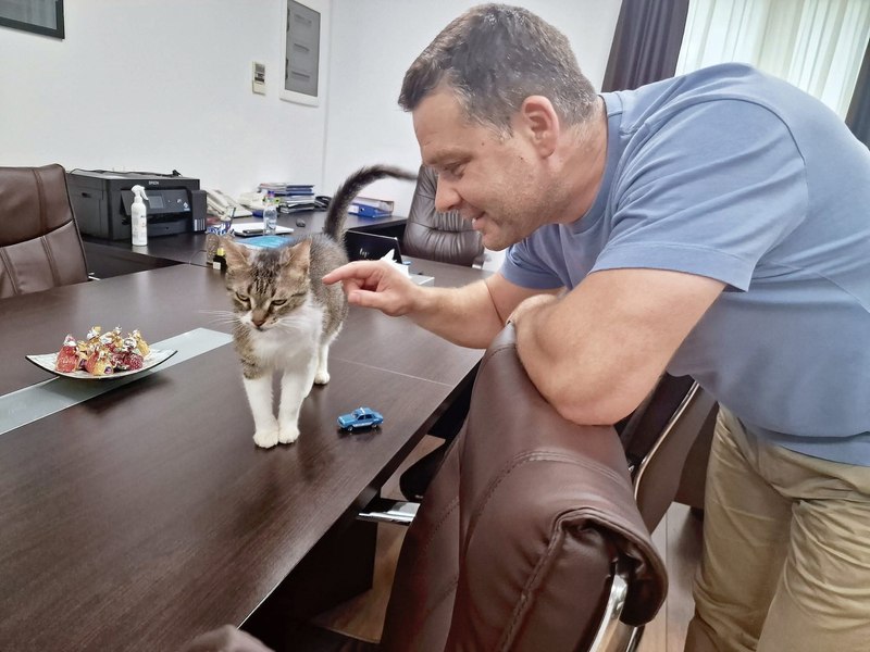 Ciprian Ciucu anunță ce se va întâmpla cu Jessy, pisica-mascotă a Primăriei Sectorului 6, după mutarea lui la PMB