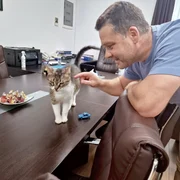 ciprian ciucu pisica jessy FOTO: FB/Primăria Sectorului 6