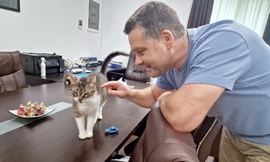 ciprian ciucu pisica jessy FOTO: FB/Primăria Sectorului 6