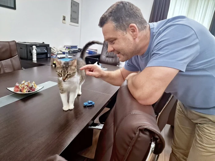 Ciprian Ciucu și Jessy, pisica de la Primărie. FOTO: FB/Primăria Sectorului 6