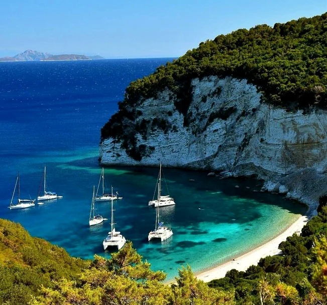 Plaja exotică unde porcii sunt principala atracție/ sursa foto: Pinterest 