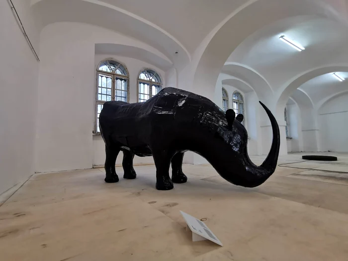 Sala de Marmură a Castelului Huniade FOTO Ștefan Both