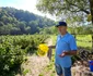 Satul Negoiu din Lunca Cernii de Jos, Hunedoara, Foto Daniel Guță, ADEVĂRUL (2) jpg