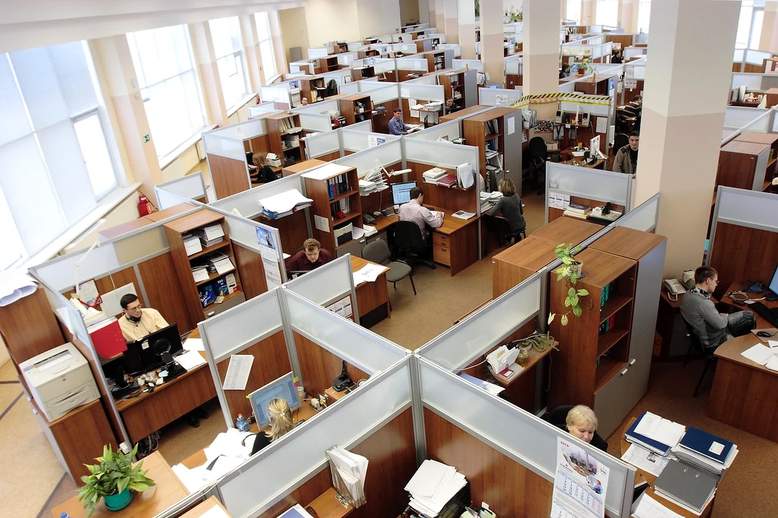 Corporatiști în timpul programului Foto: Pixabay