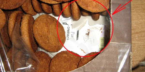 tigari intre biscuiti