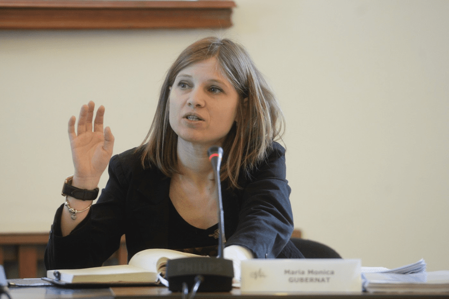 Monica Gubernat, votată la șefia CNA