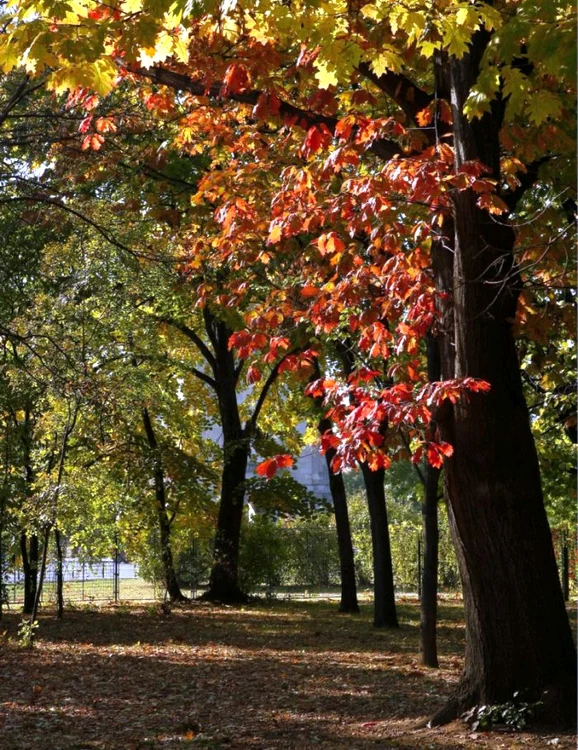 Toamna este destul de călduroasă, cel puţin în următoarele săptămâni, spun meteorologii. (Foto: Dan Bistriţeanu)