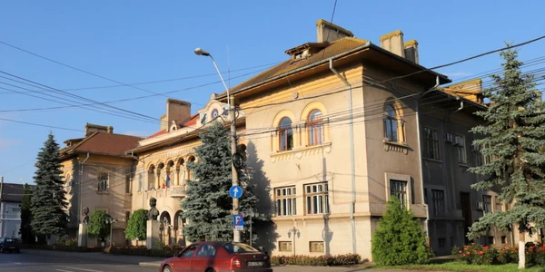 primariahd hunedoara foto daniel guta adevarul