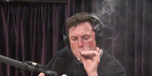 elon musk fumeaza marijuana