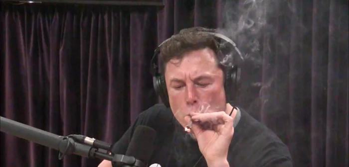 elon musk fumeaza marijuana