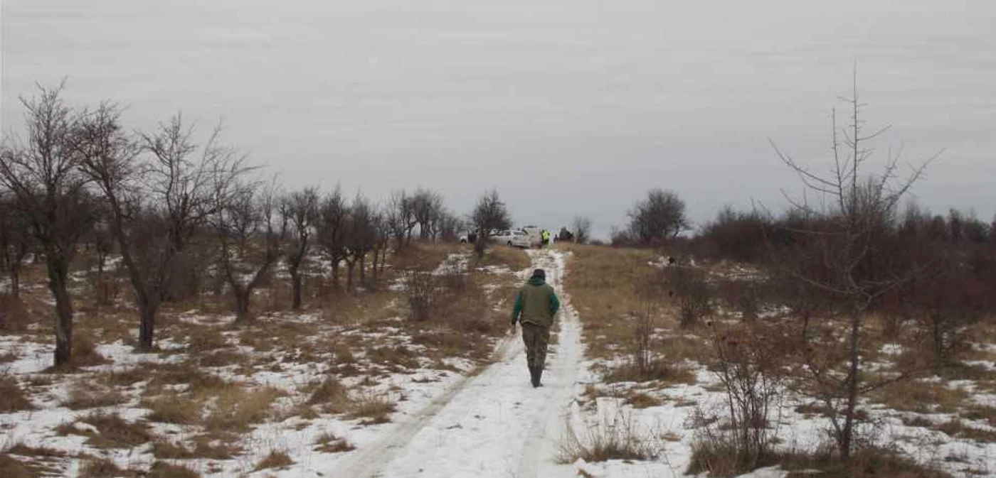 Suspecţii ar fi desfăşurat mai multe partide de vânătoare ilegale. FOTO Adevărul