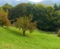 Poiana Peşterii Sfântului Antonie de la Iezer - Vâlcea Foto Adevărul