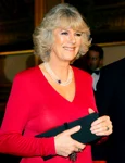 charles-  camilla