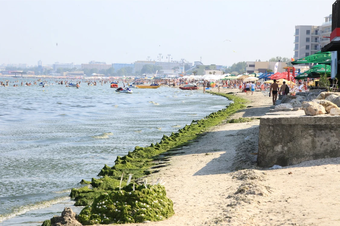 La Mamaia