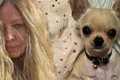 banner anca badiu png