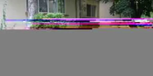 Asociaţiile de locatari trebuie să se ocupe de îngrijirea spaţiilor verzi ale blocurilor