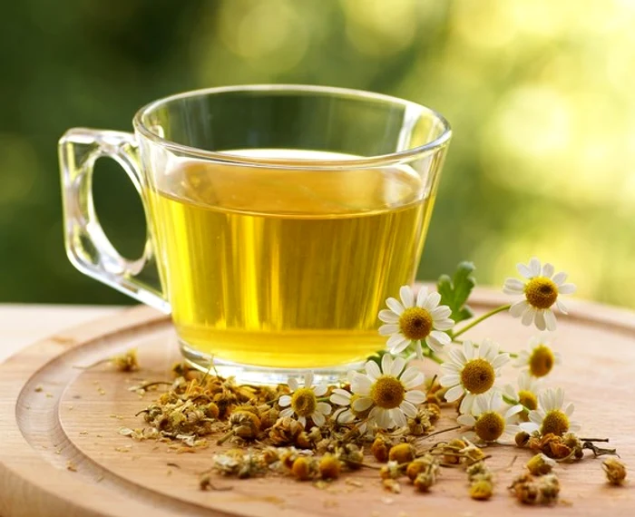 
    Mușețelul, un aliat în bătălia cu cancerulSursa foto:Click!  