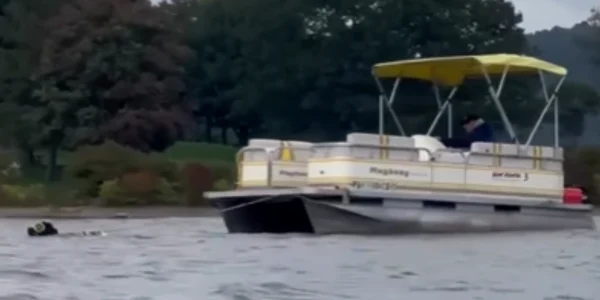 Un câine a tras o barcă. Foto: Captură video Instagram