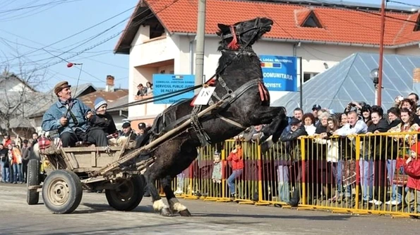 De ce se bat de Ispas vitele cu leuştean? Obiceiuri la români jpeg