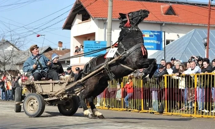 De ce se bat de Ispas vitele cu leuştean? Obiceiuri la români jpeg