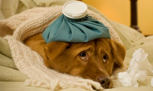 1 47050 original jpg jpeg