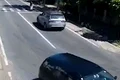 batrana spulberata trecere jpeg