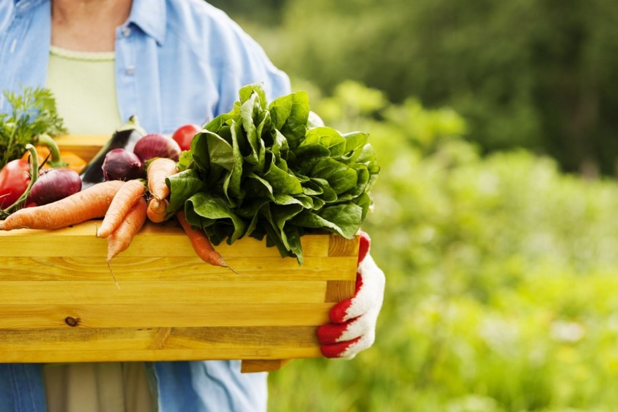 Motivul pentru care românii nu cumpără produse eco. Cum arată consumatorul etic în România 