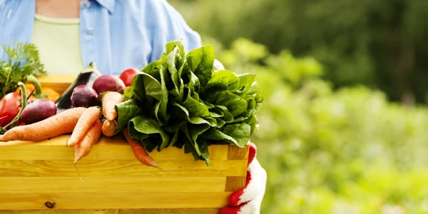 Produse bio mancare legume fructe FOTO Shutterstock
