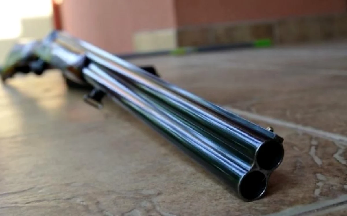 Poliţiştii au confiscat anul trecut aproape 6.000 de arme